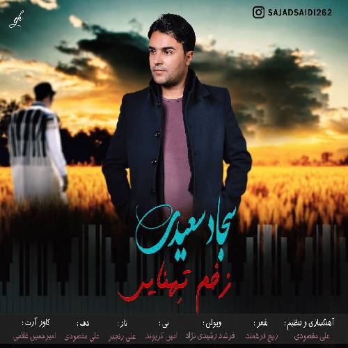 سجاد سعیدی زخم تهنایی